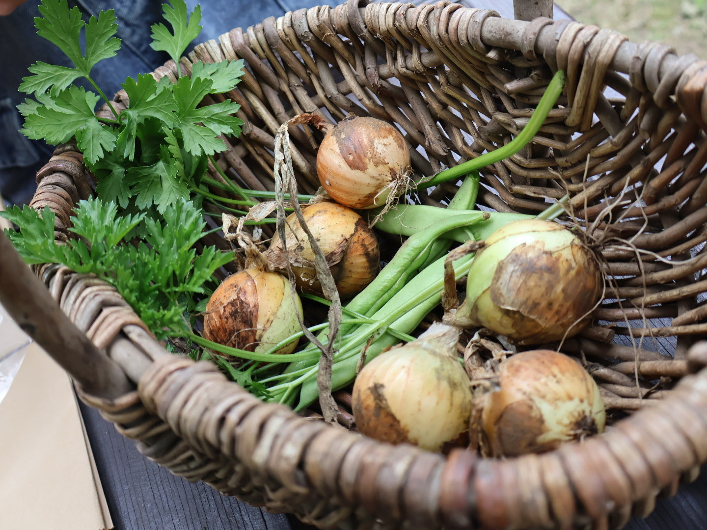 収穫したばかりの新鮮な野菜たち