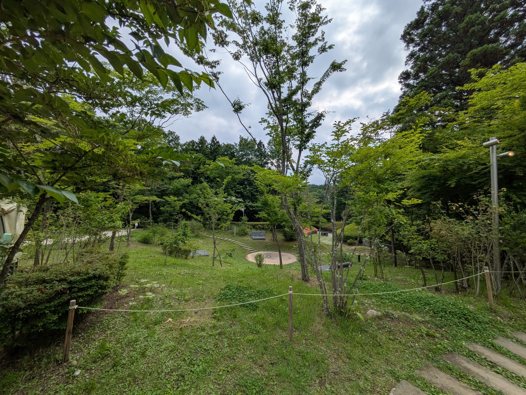 POKOPOKO周辺の森