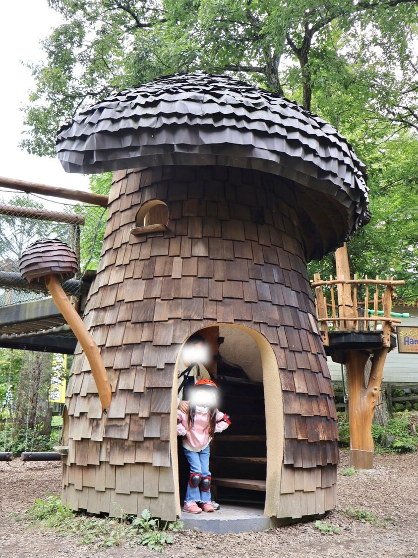 キノコのおうち