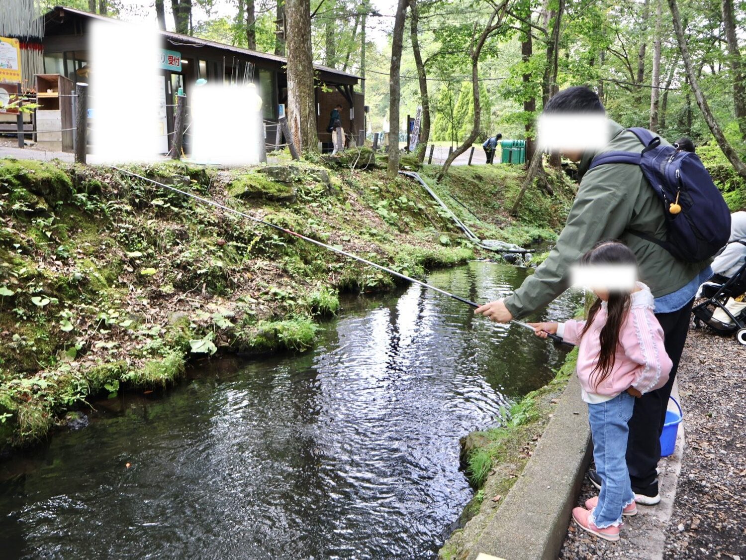 透き通った水の中の魚を見つめる娘