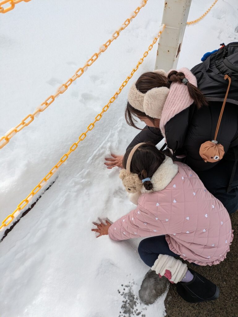雪に手形をつける子供