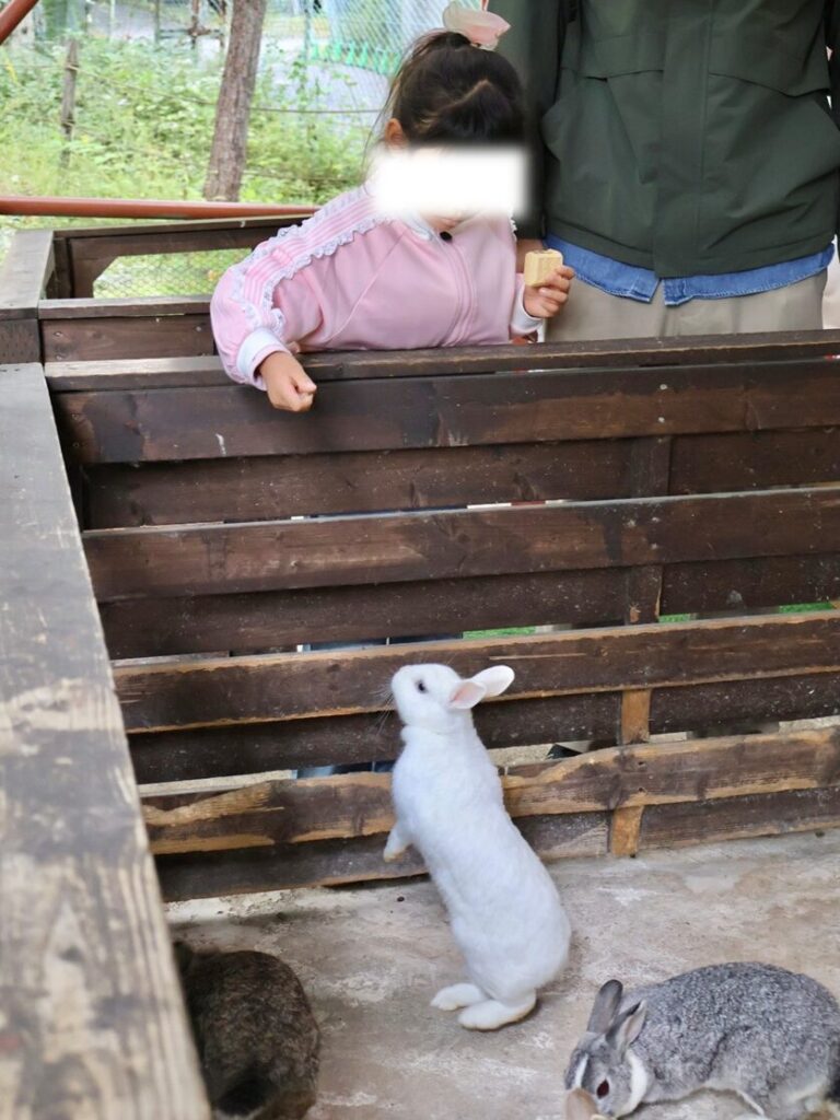 ウサギ小屋でエサをあげる子供の様子