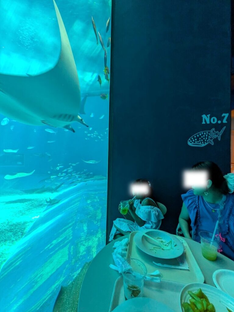 カフェオーシャンブルーの有料指定席で大水槽を眺めながら食事を楽しむ娘
