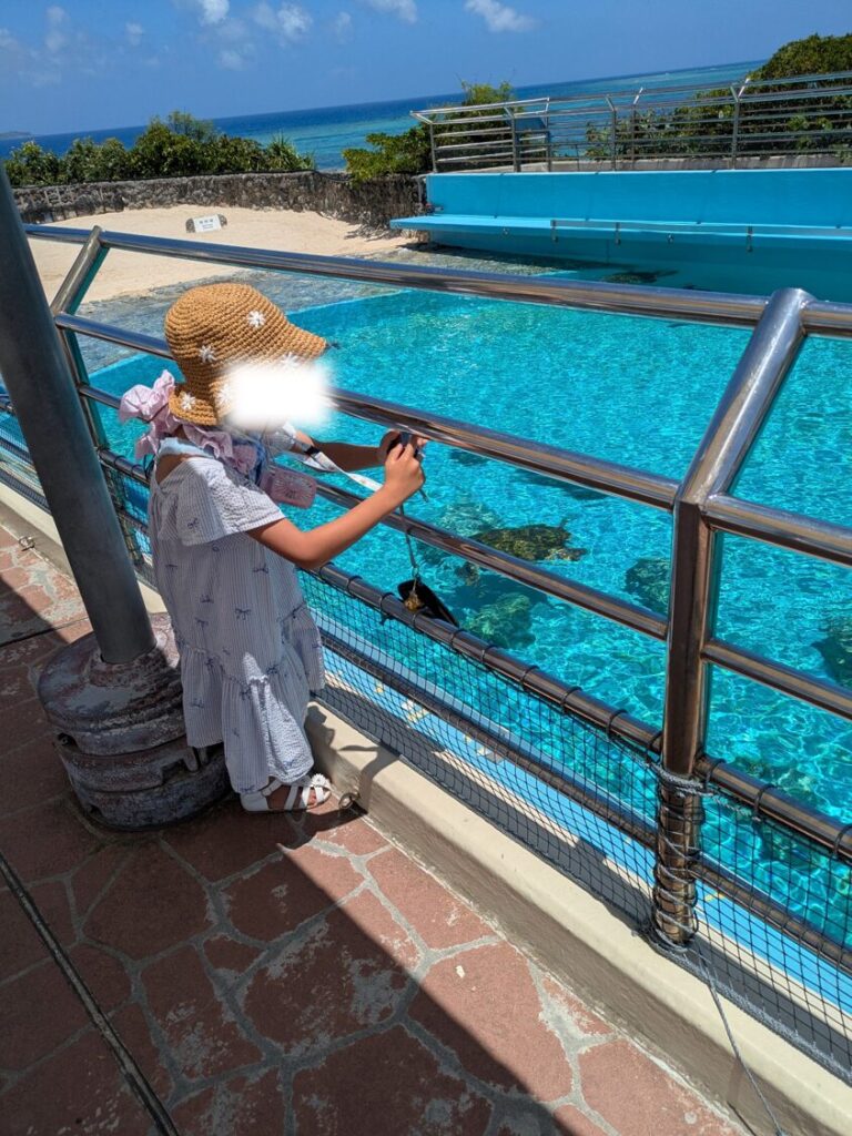 ウミガメ館で給餌体験ができずかなり残念そうにプールを眺める娘