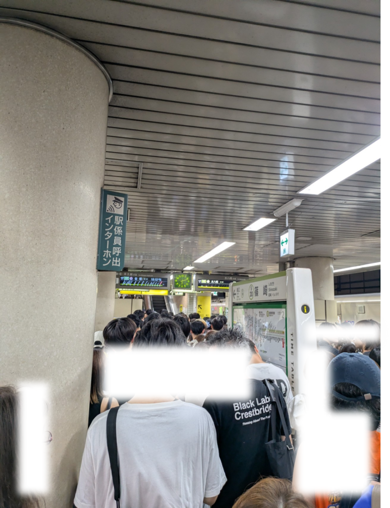 江戸川区花火大会当日の18時10分頃における都営新宿線篠崎駅構内の混雑状況